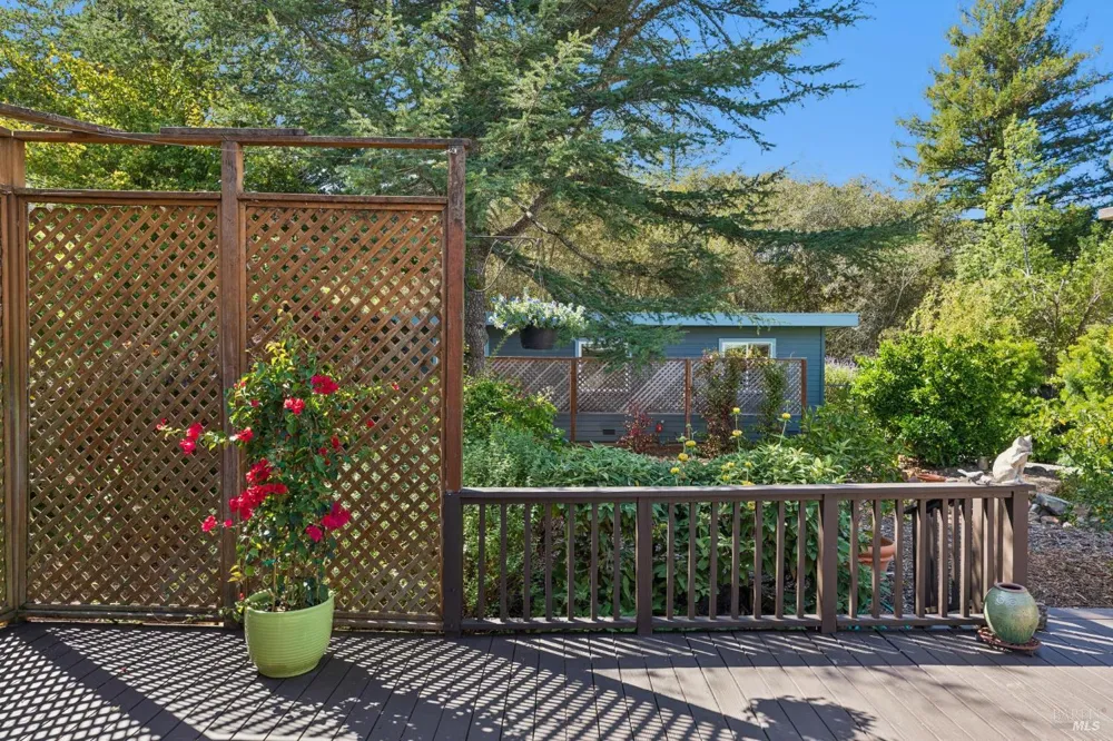 410 Maple Street Mill Valley, CA 94941