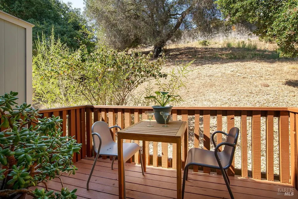 57 Birchwood Drive Novato, CA 94947