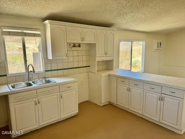 48245 235th Street Lancaster, CA 93536