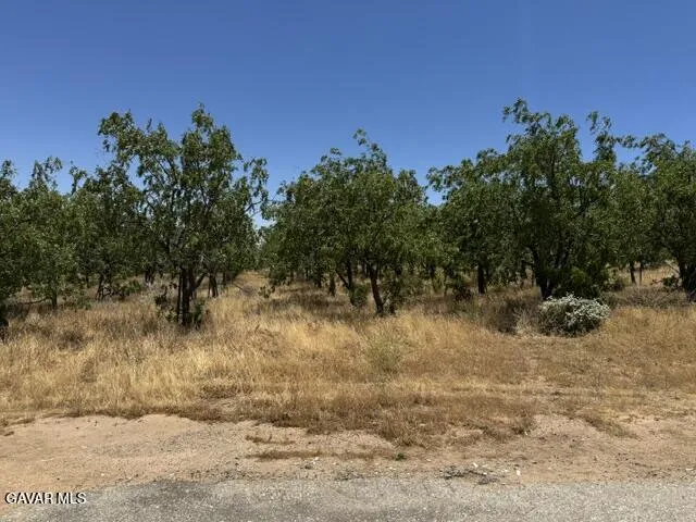 48245 235th Street Lancaster, CA 93536