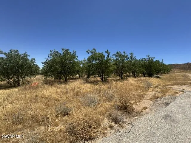 48245 235th Street Lancaster, CA 93536