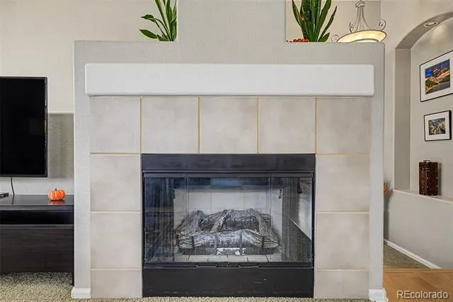 176 Whitehaven Circle Highlands Ranch, CO 80129