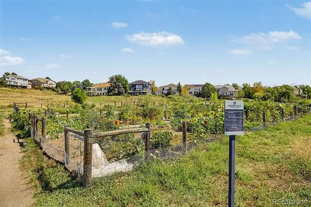 176 Whitehaven Circle Highlands Ranch, CO 80129
