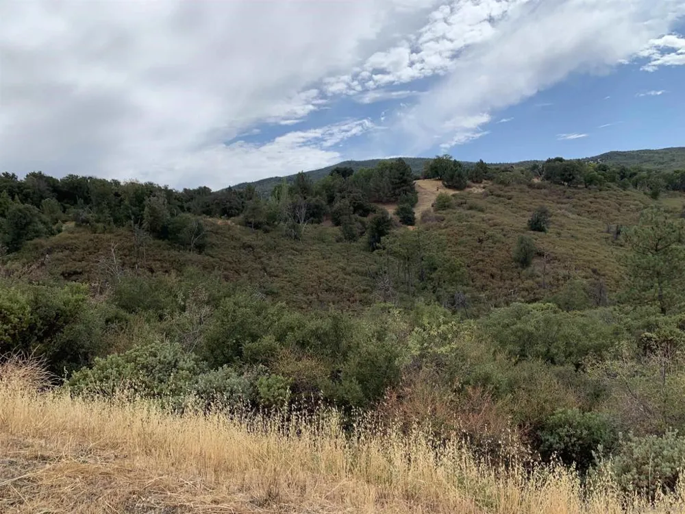 Incense Cedar Rd Julian, CA 92036