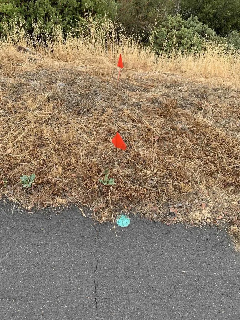 Incense Cedar Rd Julian, CA 92036