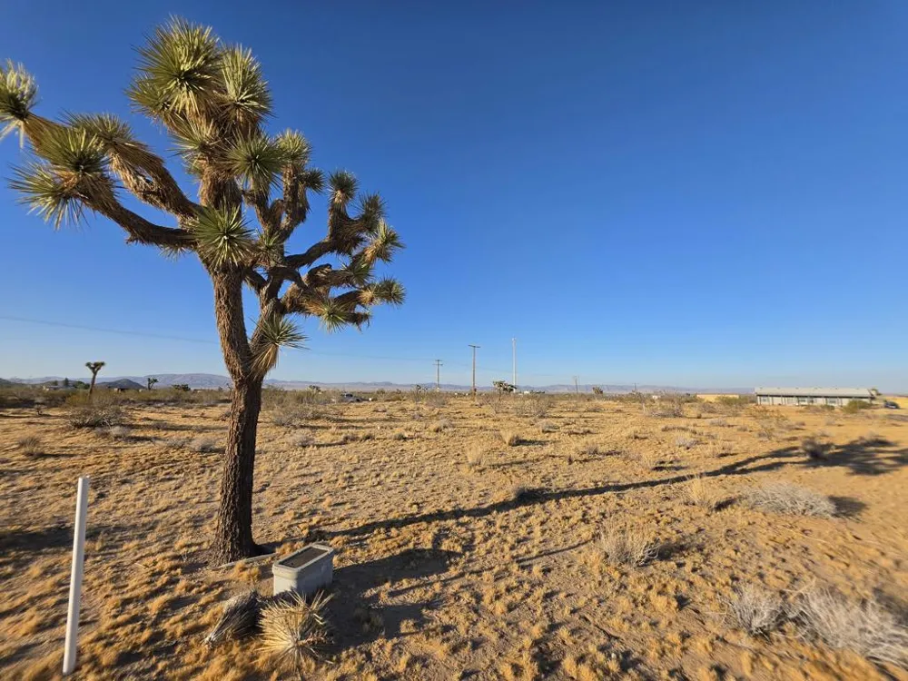 59871 Reche Road Landers, CA 92285