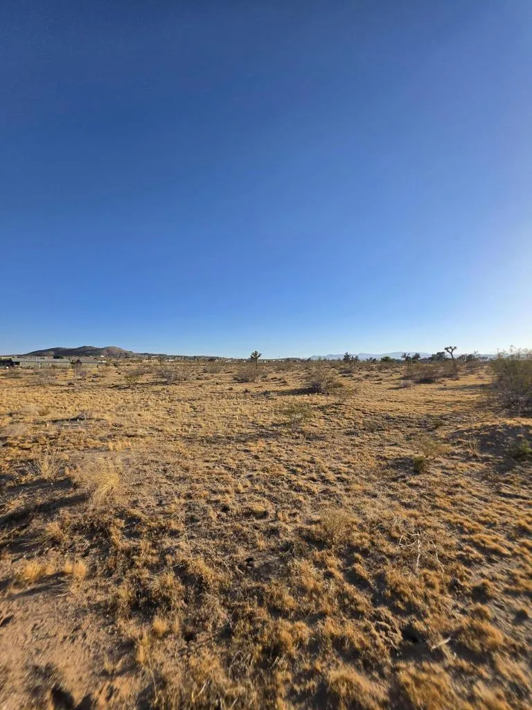 59871 Reche Road Landers, CA 92285