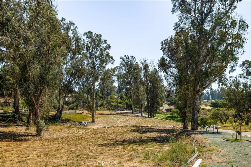 2 Castle Bluff Road Arroyo Grande, CA 93420