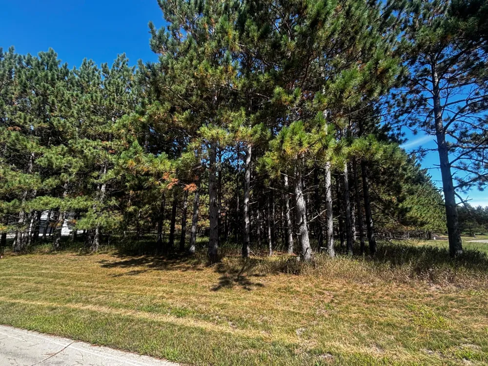 TBD Emerald Drive Alexandria, MN 56308