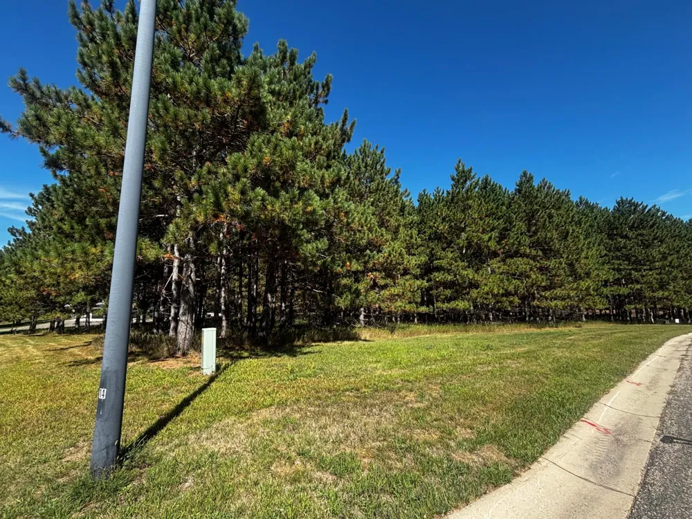 TBD Emerald Drive Alexandria, MN 56308