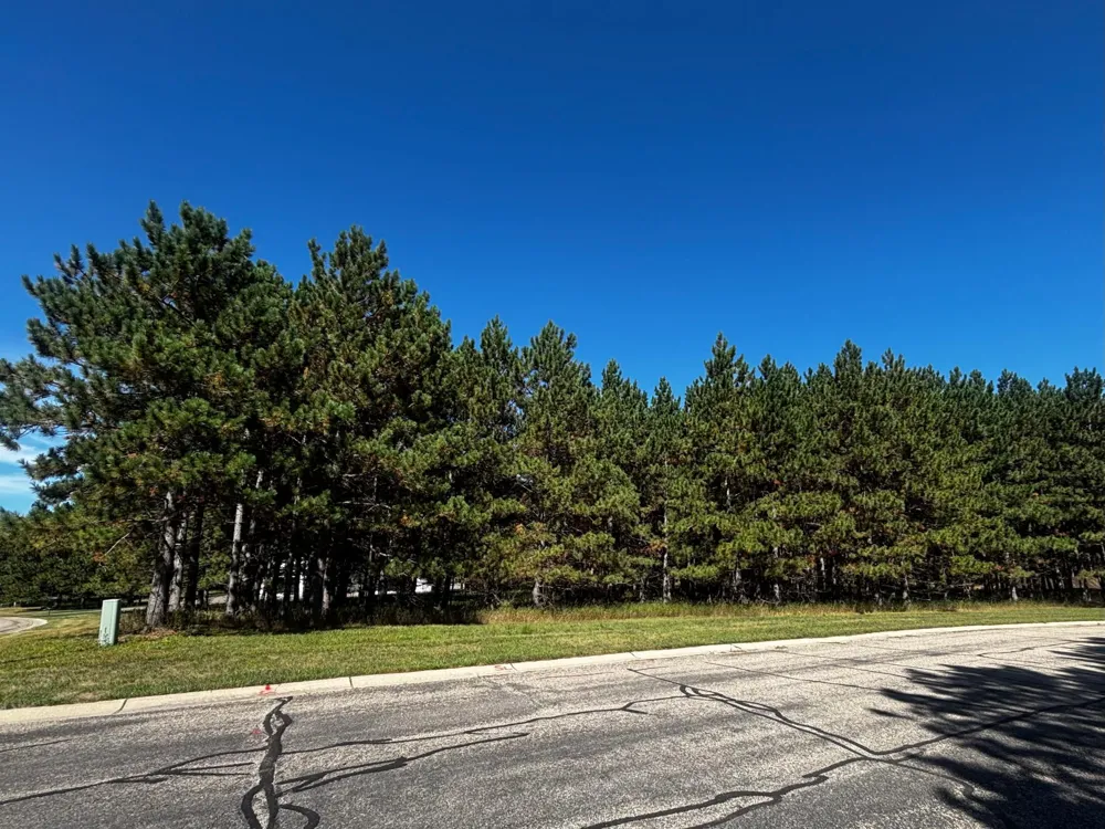 TBD Emerald Drive Alexandria, MN 56308