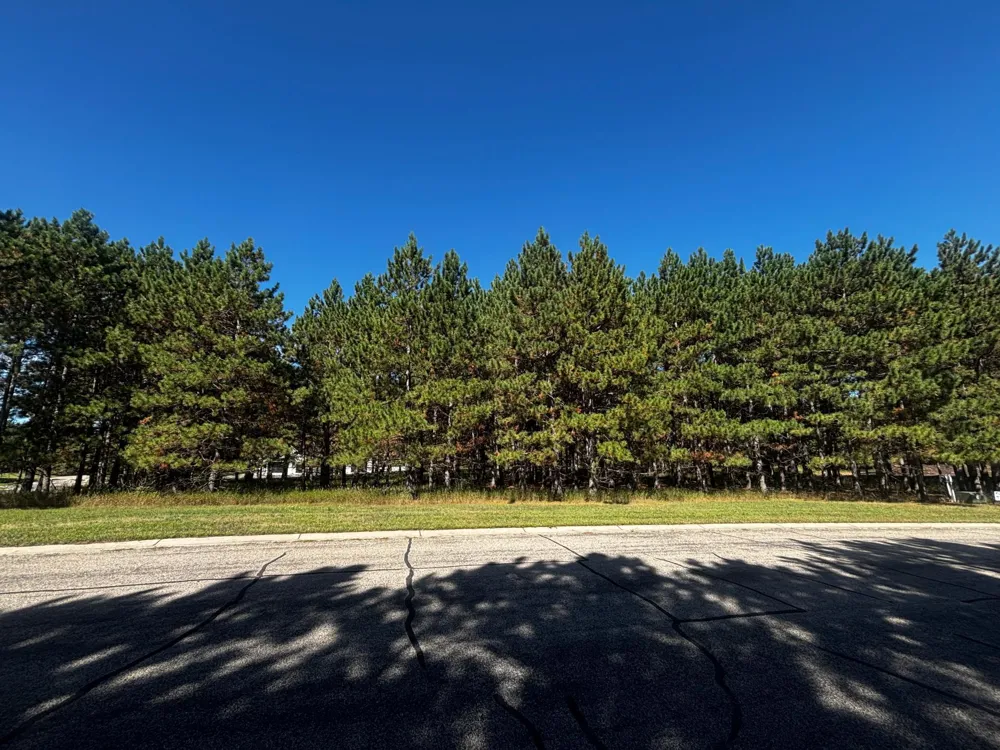TBD Emerald Drive Alexandria, MN 56308