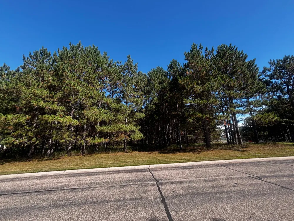 TBD Emerald Drive Alexandria, MN 56308