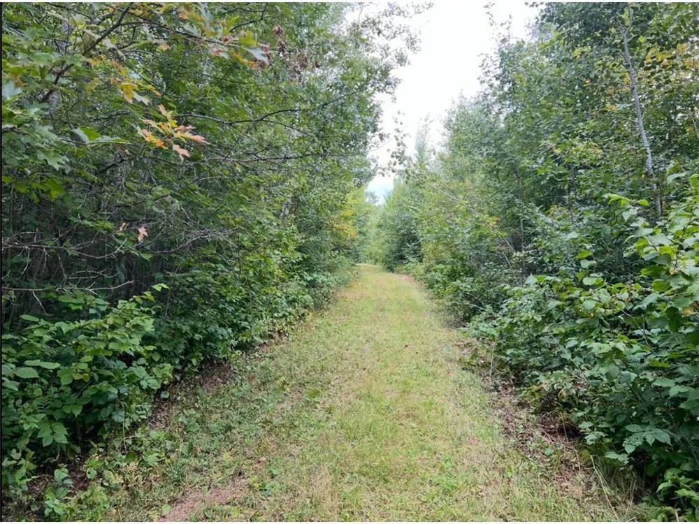 12157 Butternut Road Brainerd, MN 56401