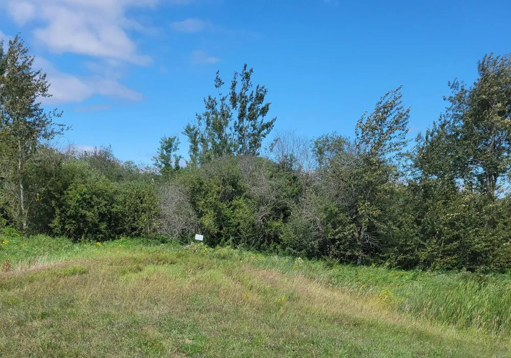 TBD 48th Street NW Williams, MN 56686