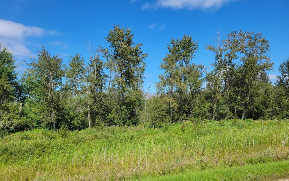 TBD 48th Street NW Williams, MN 56686