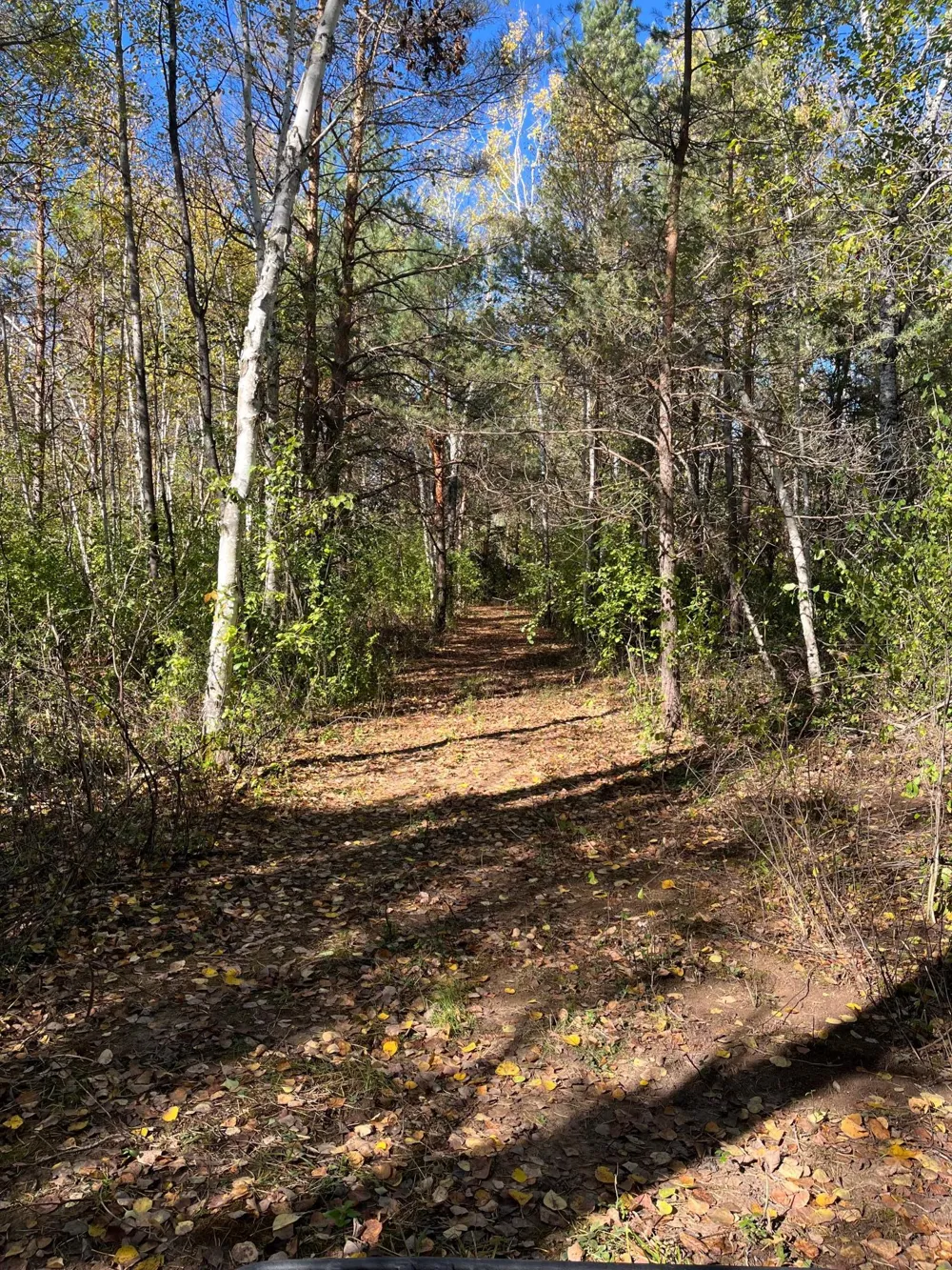 3449 Mosevej Askov, MN 55704