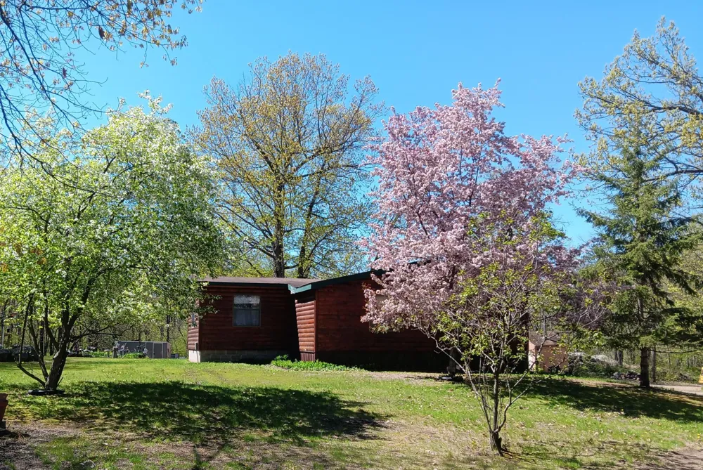 16207 Palomino Lane Brainerd, MN 56401