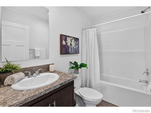 973 Sunchase Drive Fort Collins, CO 80524