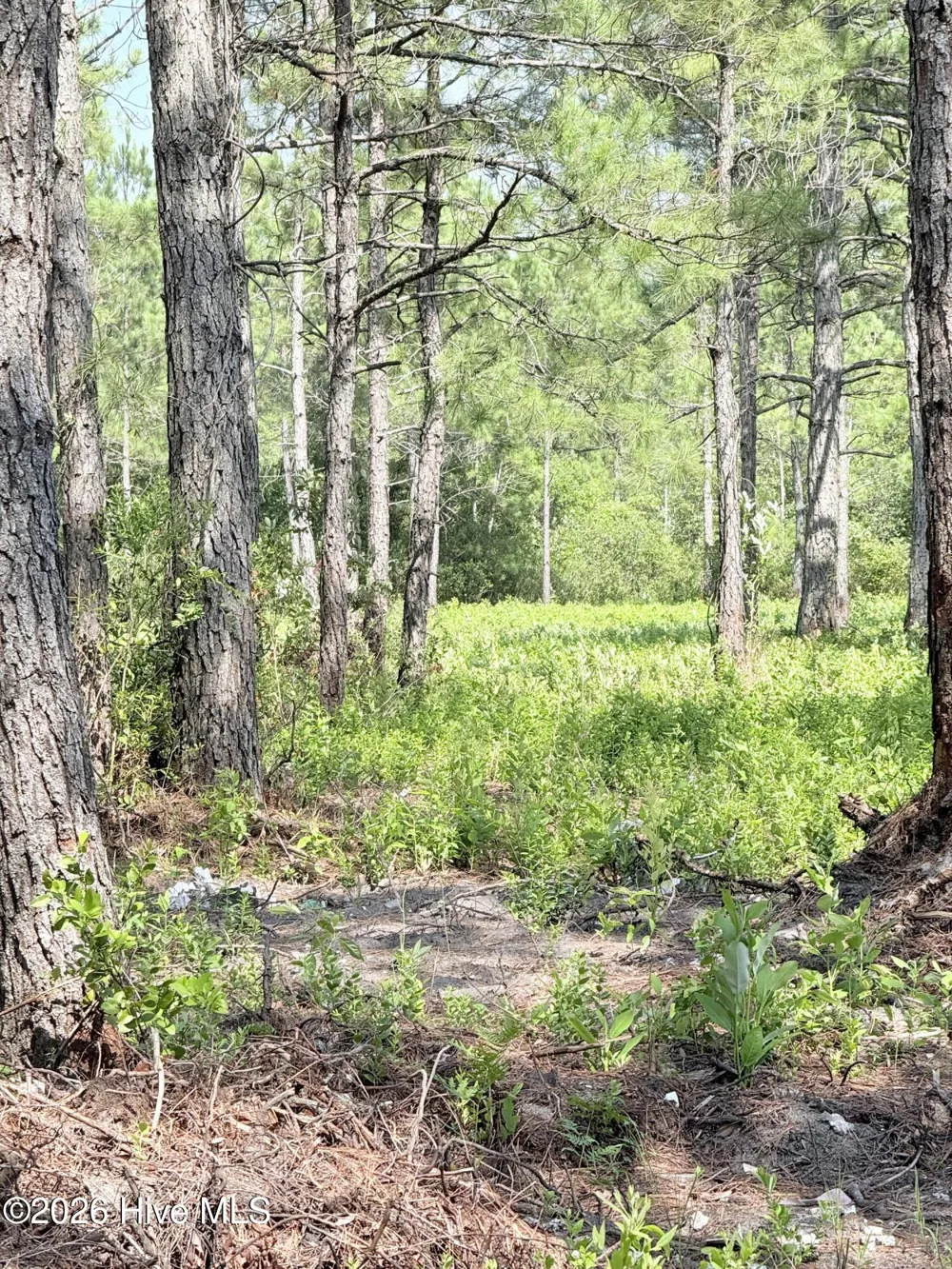 00 Seaside. (12.25 Acres) Road SW Sunset Beach, NC 28468