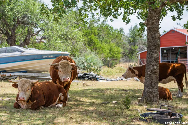 500 Reverse R Fredericksburg, TX 78631