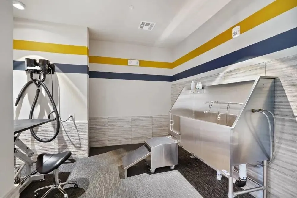 1317 Post Oak Park Drive #303 Houston, TX 77027