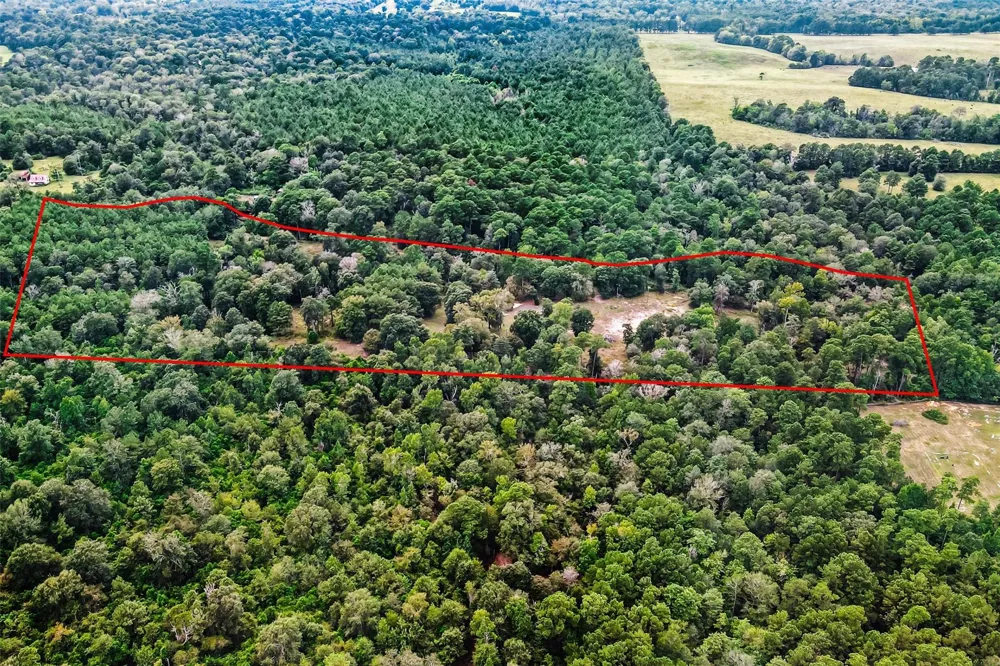 375 Private Road 6328 Jasper, TX 75951