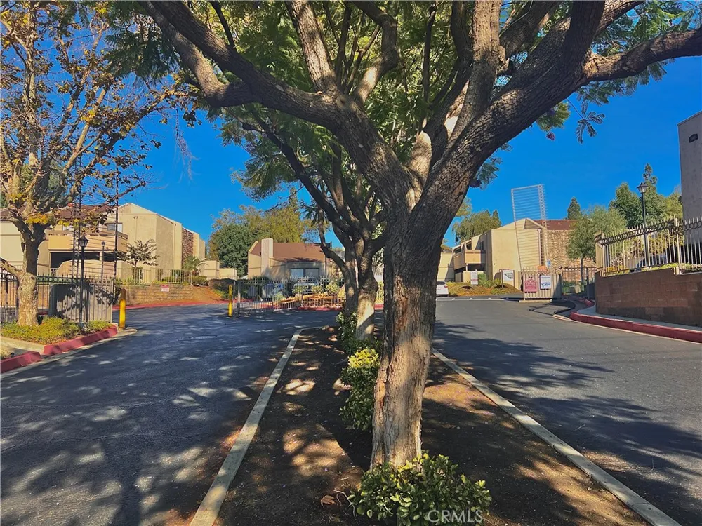 3032 Associated Road #79 Fullerton, CA 92835