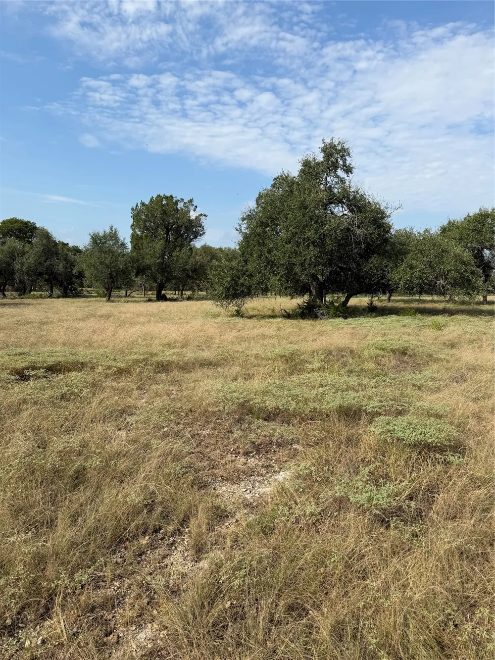 1911 Wayside Drive Wimberley, TX 78676