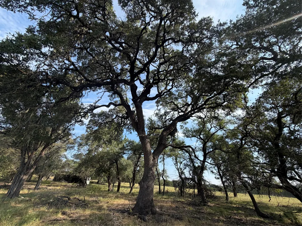 1911 Wayside Drive Wimberley, TX 78676