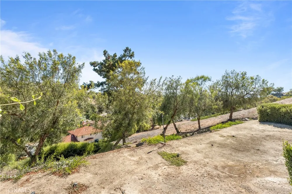 25556 Paseo La Vista Laguna Niguel, CA 92677