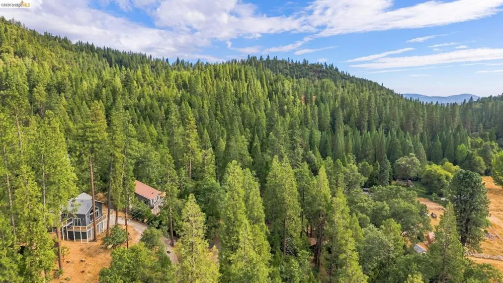 21837 Cedar Springs Rd Twain Harte, CA 95383