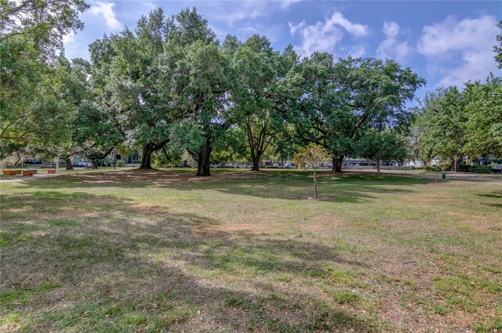 525 E JACKSON STREET #704 Orlando, FL 32801