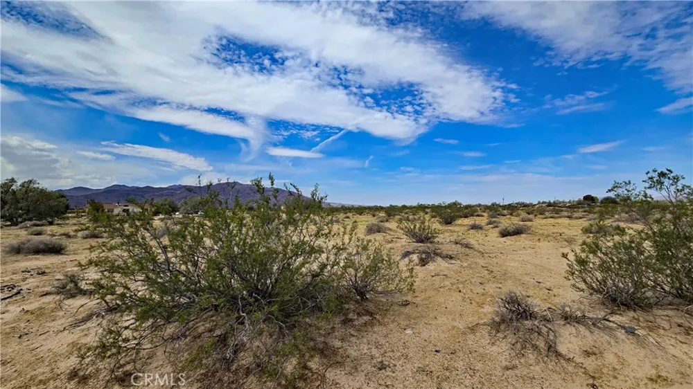 Fremont Rd s/o Fairview Rd Newberry Springs, CA 92265