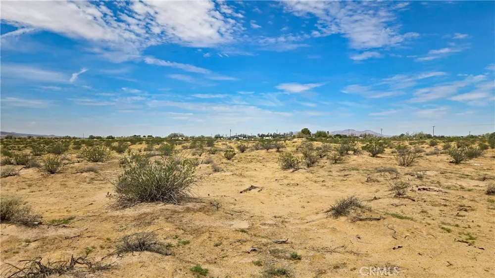 Fremont Rd s/o Fairview Rd Newberry Springs, CA 92265