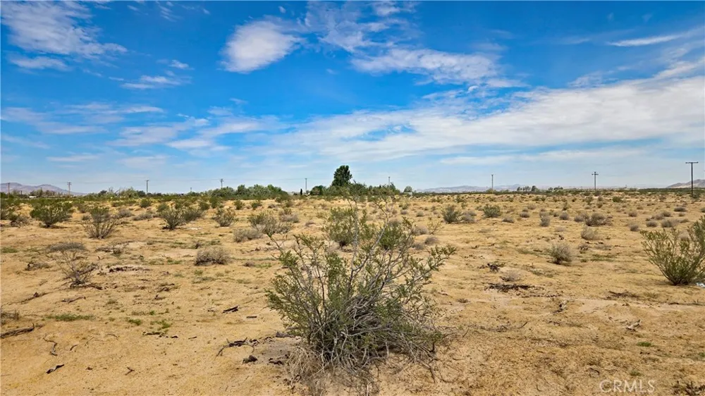 Fremont Rd s/o Fairview Rd Newberry Springs, CA 92265