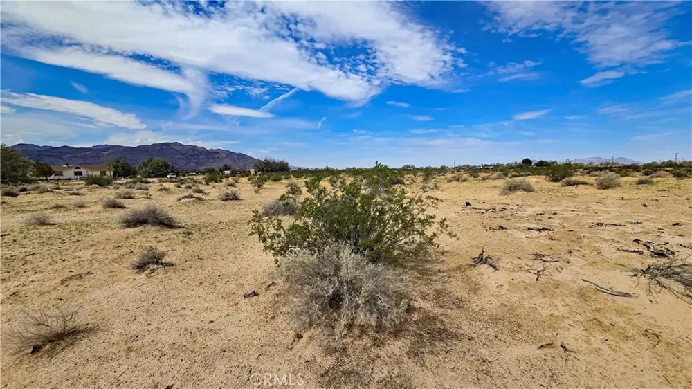 Fremont Rd s/o Fairview Rd Newberry Springs, CA 92265
