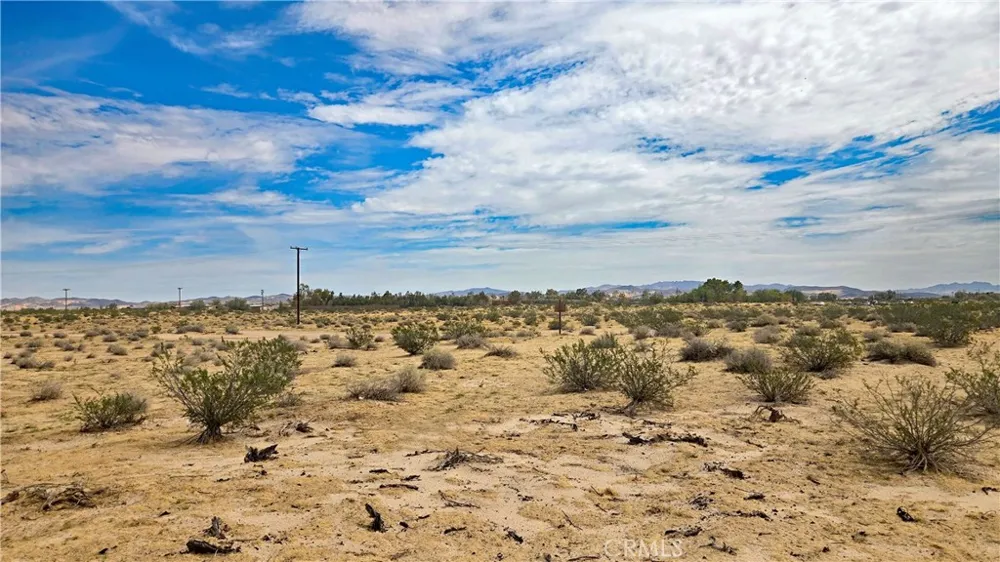 Fremont Rd s/o Fairview Rd Newberry Springs, CA 92265