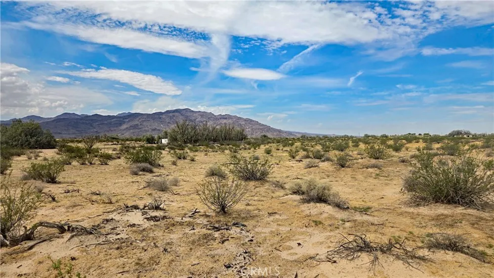 Fremont Rd s/o Fairview Rd Newberry Springs, CA 92265