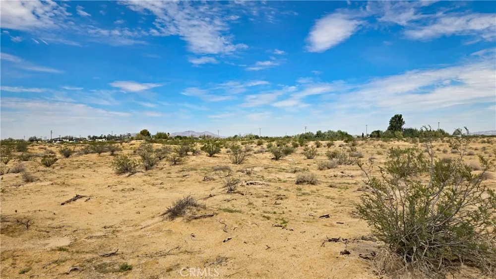 Fremont Rd s/o Fairview Rd Newberry Springs, CA 92265