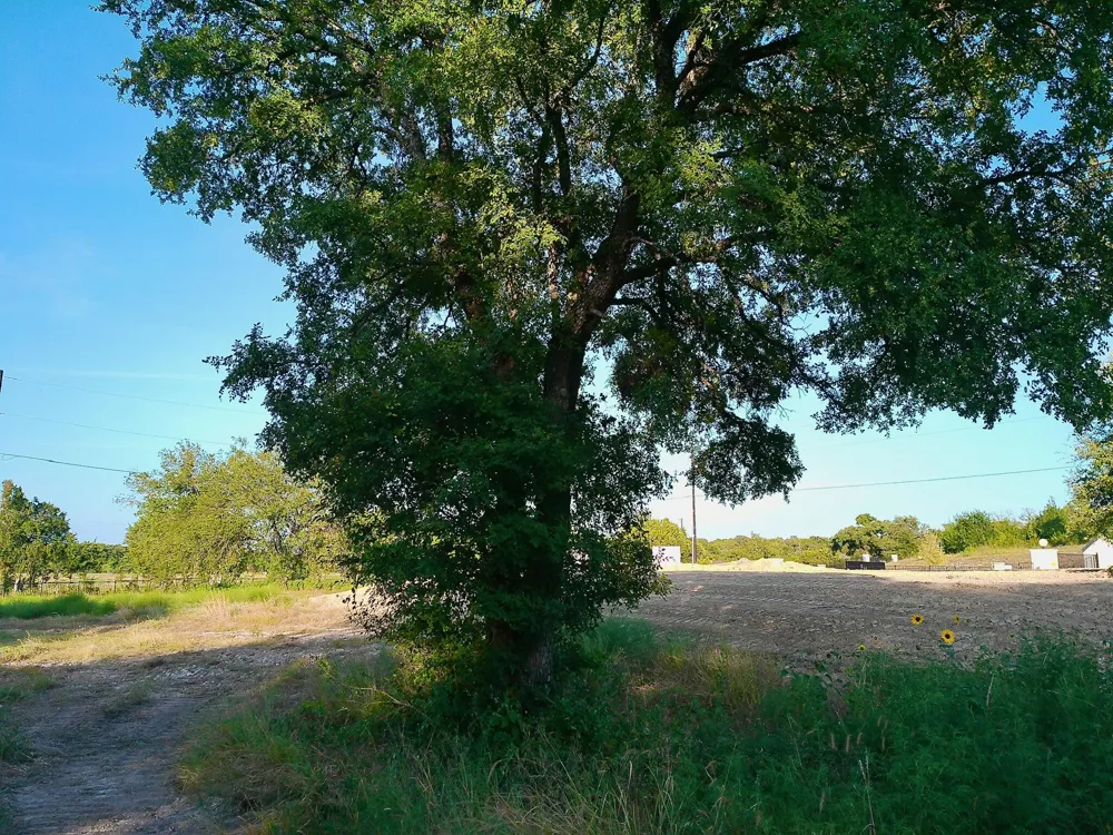 100 Serenity Drive Liberty Hill, TX 78642