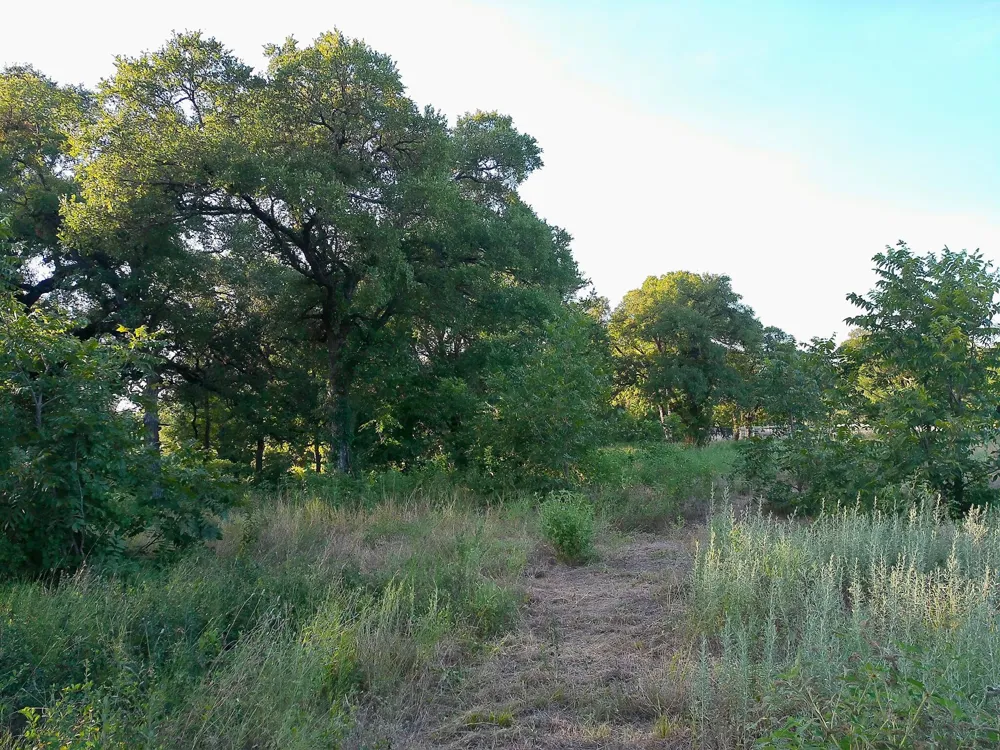 100 Serenity Drive Liberty Hill, TX 78642