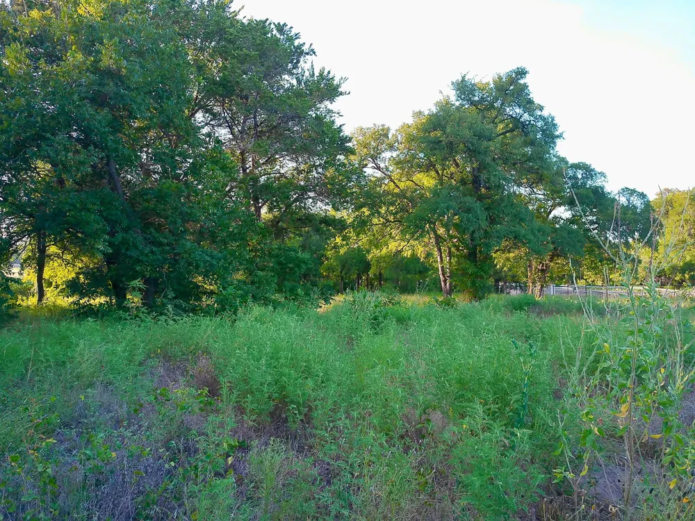 100 Serenity Drive Liberty Hill, TX 78642
