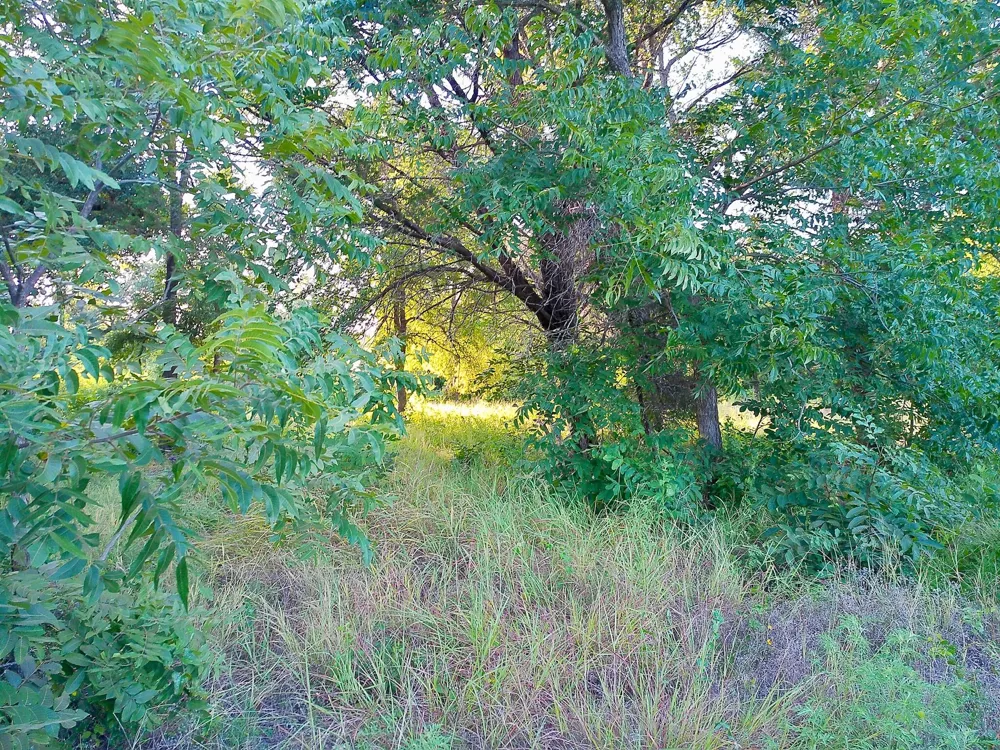 100 Serenity Drive Liberty Hill, TX 78642