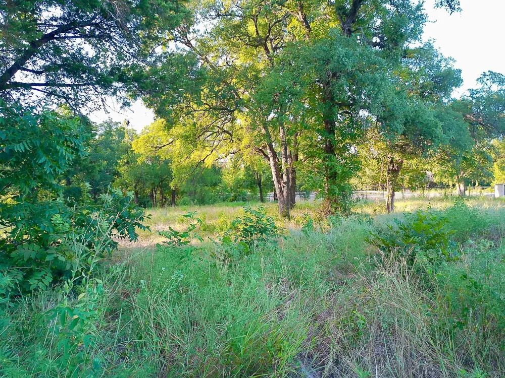 100 Serenity Drive Liberty Hill, TX 78642