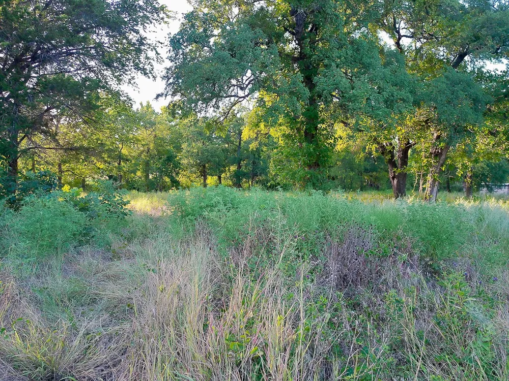 100 Serenity Drive Liberty Hill, TX 78642