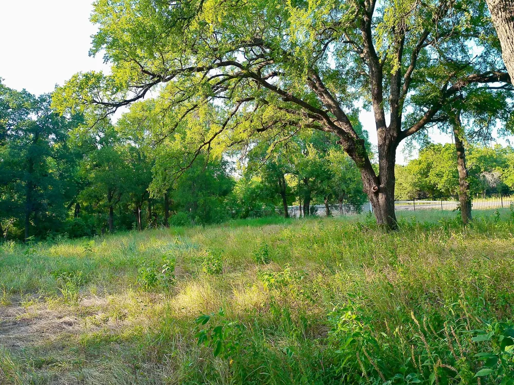 100 Serenity Drive Liberty Hill, TX 78642