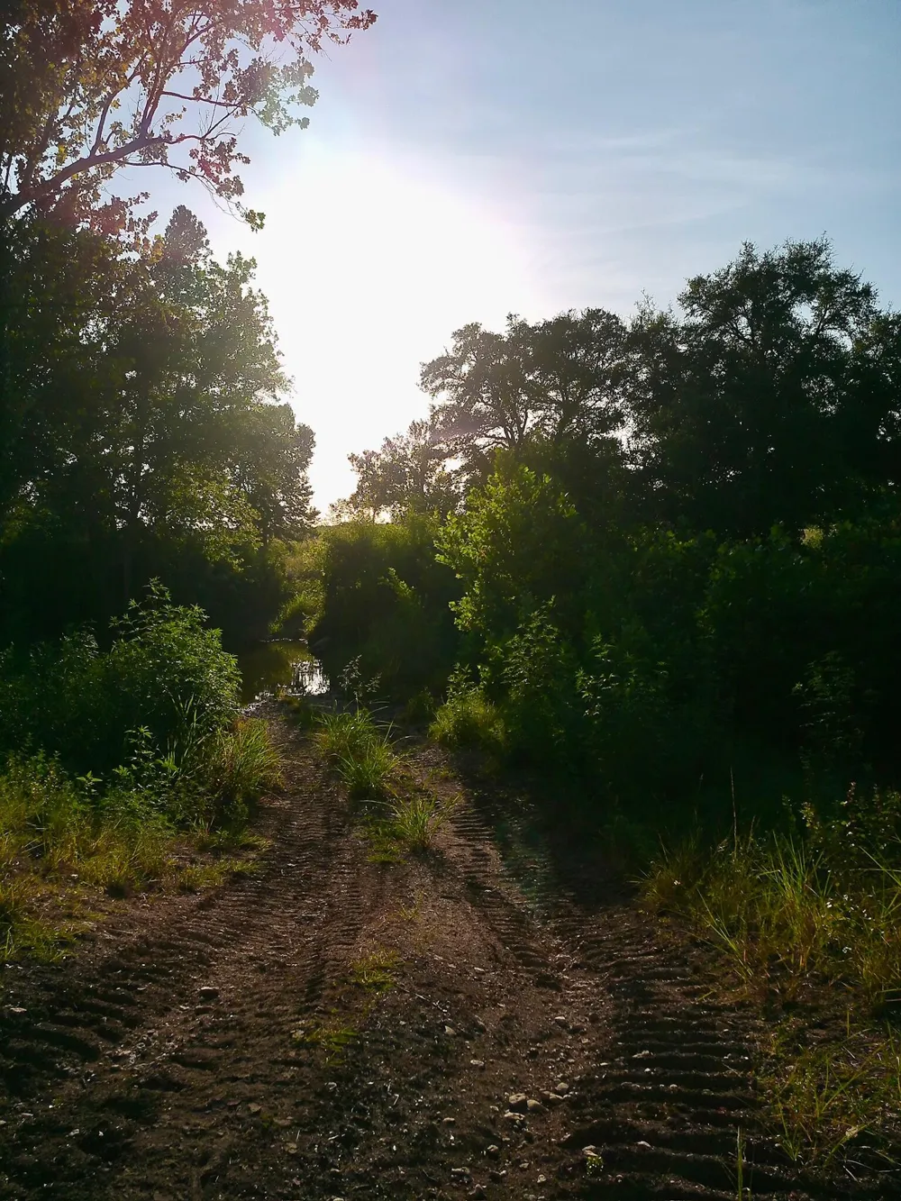 100 Serenity Drive Liberty Hill, TX 78642