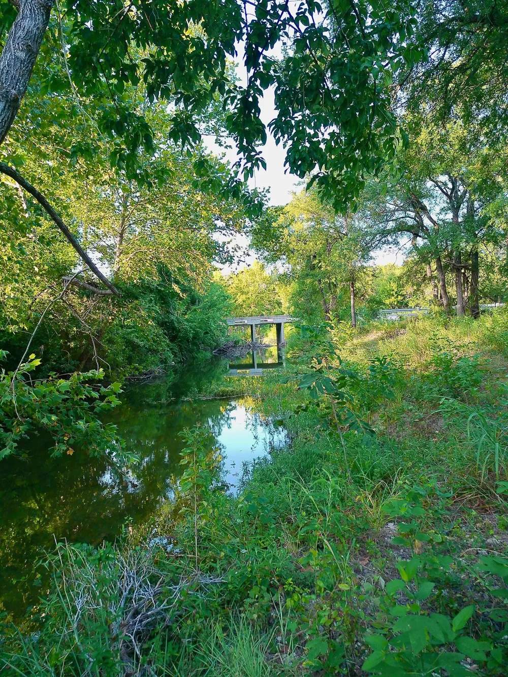 100 Serenity Drive Liberty Hill, TX 78642
