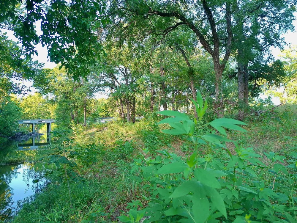 100 Serenity Drive Liberty Hill, TX 78642